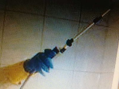 LIMPEZA DE CAIXA DÁGUA e DEDETIZADORA (11)2303-5217/ 7303-3441/ 8621-3420/6557-9589