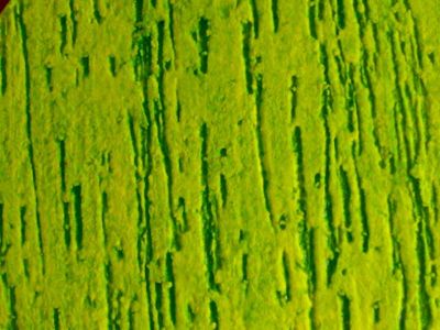 GRAFIATO E TEXTURA  TEL:(11)3479-9435