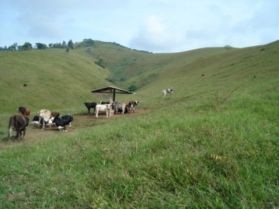 linda fazenda em guarapari OPORTUNIDADE