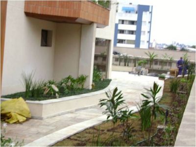 Flora Realce - Plantas ornamentais, frutíferas e nativas. 