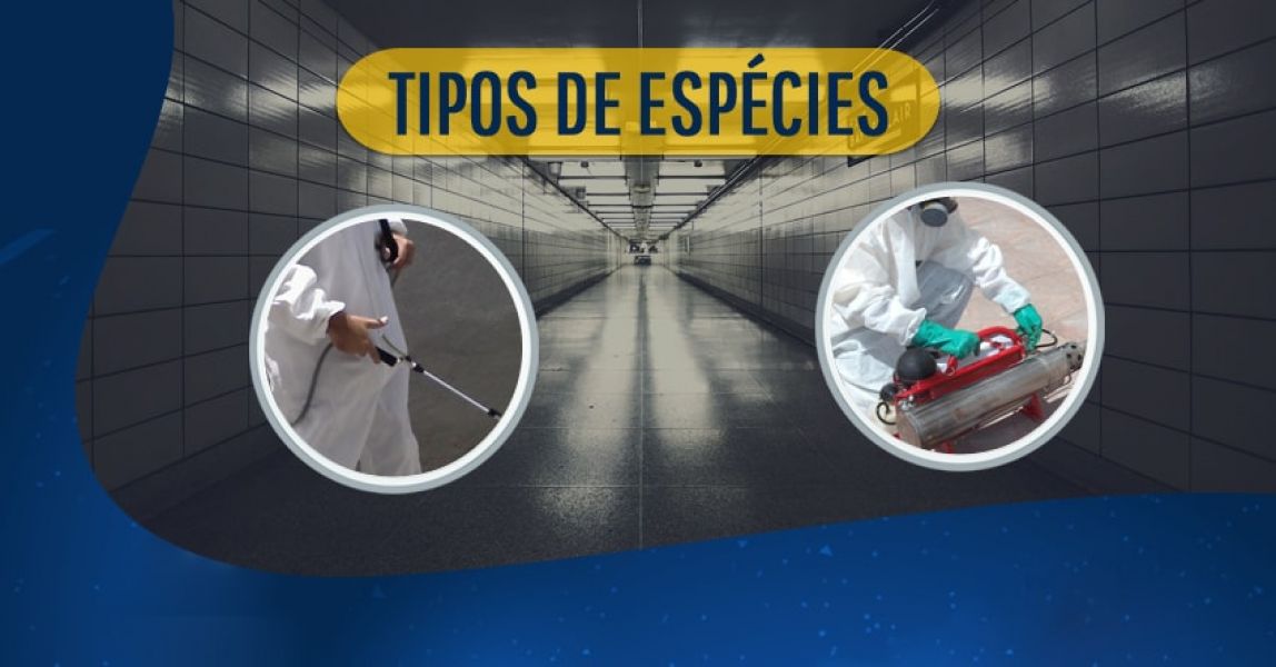 Extermínio de baratas através da dedetização.