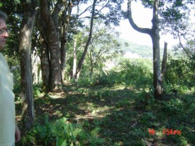 Vendo área de terra na cidade de Antonina