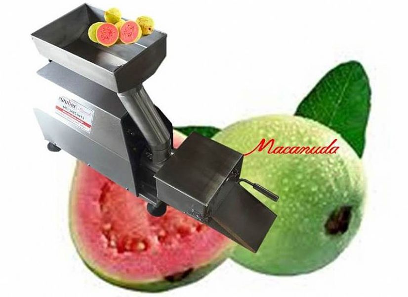 Máquina despolpadeira de goiaba marca Macanuda