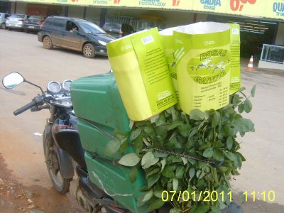 Entrega de encomendas de pequeno porte (serviço moto-boy)