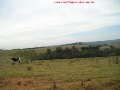  fazenda em divinopolis  mg 140 km de belo horizonte  344 há