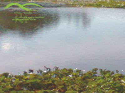 FAZENDA EM CURVELO - 5.000 HA.