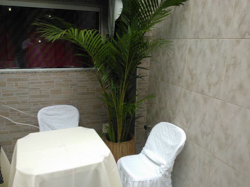 Ornamentais Plantas  Paisagismo Aluguel Palmeiras