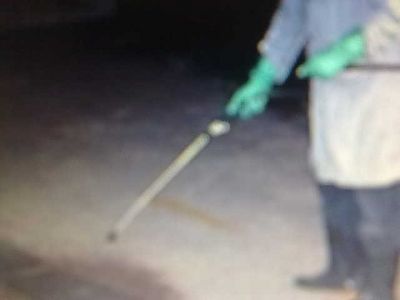 LIMPEZA DE CAIXA DÁGUA e DEDETIZADORA (11)2303-5217/ 7303-3441/ 8621-3420/6557-9589