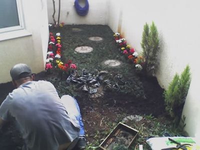 terra adubada 11-2303-5217 ,7303-3441