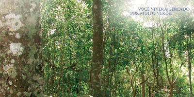 VILLA DO CEDRO -  vendas - 55(48)3222-4882