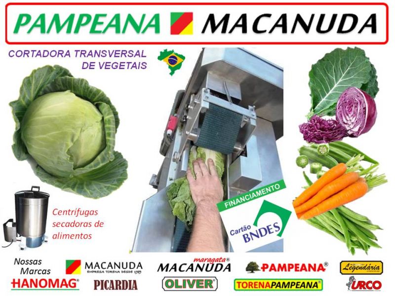 Pampeana Macanuda a máquina Industrial de fatiar cenouras