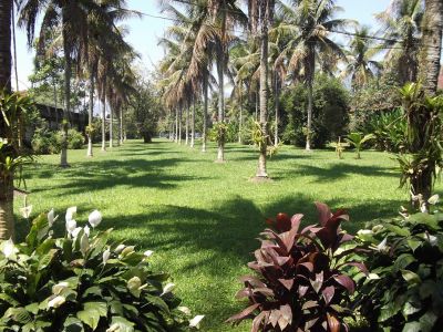 Sítio e Buffet de Churrasco