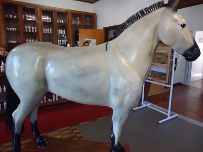 Curso de Fibra de vidro