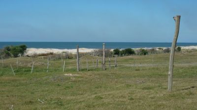 90 hectareas de terreno.