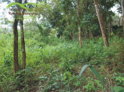 oportunidade chácara pescaria na margem do rio Paraopeba