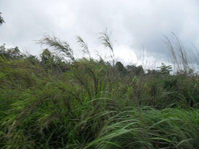 AREA INDUSTRIAL COM 820.000 M² COM 740 DE FRENTE BR 040