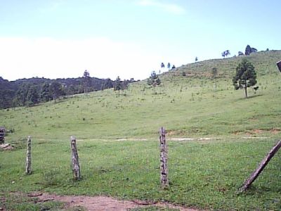 FAZENDA 153 ALQUEIRES FORMADA EM PASTO