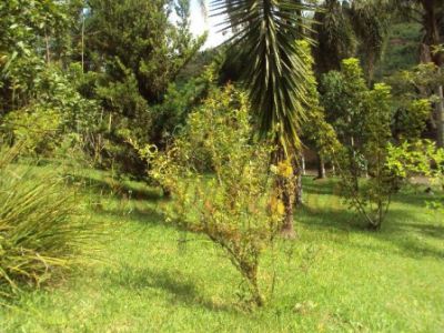 Chácara a venda em São Lourenço lazer completo ótimo lugar para você e sua família curtir