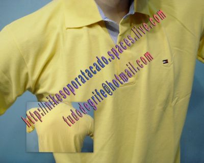 camisa polo Rauph Lauren, Tommy Hilfiger, Lacoste, Reserva, Polo Play, La Martina