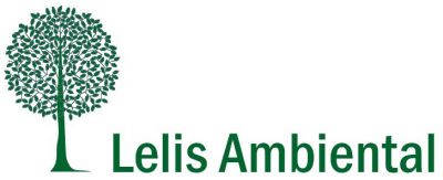 Lelis Serviços Empresariais LTDA