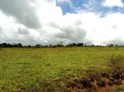 EXCELENTE TERRENO EM  COCALZINHO DE GOIÁS 