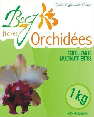 B&G FLORES LTDA
