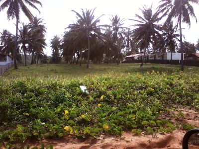 terrenos frente mar a venda em alagoas