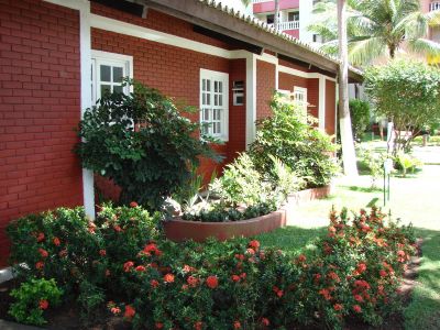 More em meio as arvores