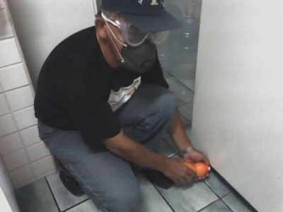 DEDETIZAÇÃO EXTERMINIO DE PRAGAS INSETOS