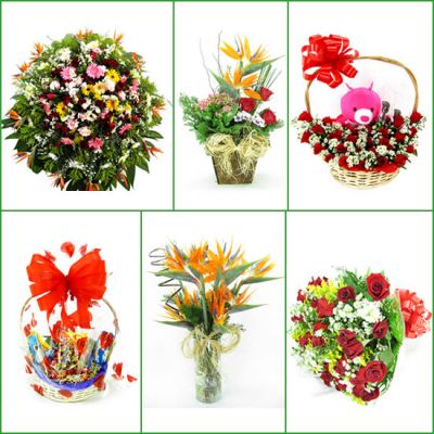 Flora Savassi BH  Flores On line  BH Floricultura Savassi BH  Floriculturas em BH /MG Flores, Cestas