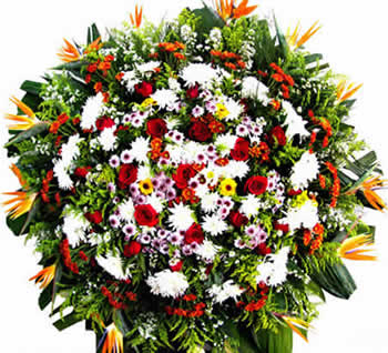  190,00 Velório da Glória  entregas de coroas de flores Velório e Cemitério da Glória  Bandeirantes 