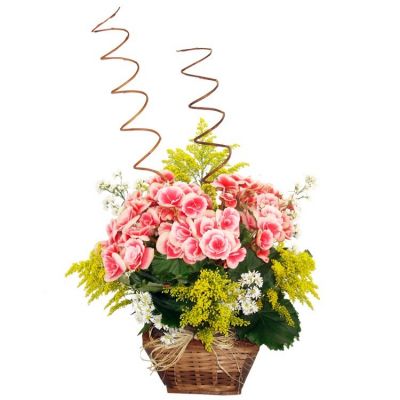 Flora Contagem entrega de flores para empresas da grande BH (31)3391-1616