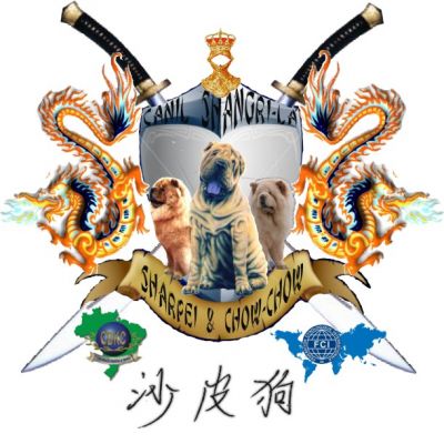 .CANIL SHANGRI-LÁ, SHARPEI & CHOW-CHOW EM ATÉ 18X