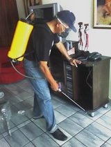 DEDETIZAÇÃO ZEUS LTDA