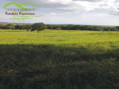  FAZENDA EM CURVELO - MG com área de 5.000 ha