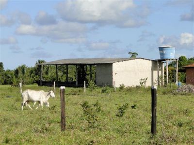 850hectares localizado no Sul da Bahia