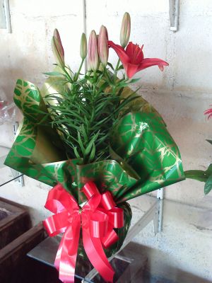 Art em Flores - Floricultura