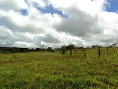 ÁREA EM COCALZINHO-GO COM 205.385 M² 