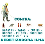 Empresa ou Serviço de Dedetização na Ilha do Governador sem cheiro nem tira voce  de casa é aqui