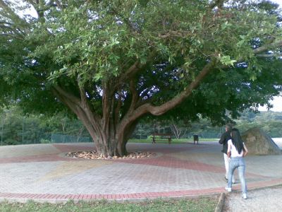 Terreno em condomínio em Atibaia 775m² R$ 170 mil out.11