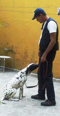 ADESTRADOR PROFISSIONAL