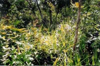 Construção, Reforma, Capina, Jardinagem, Serralheria, Marcenaria, Gesso