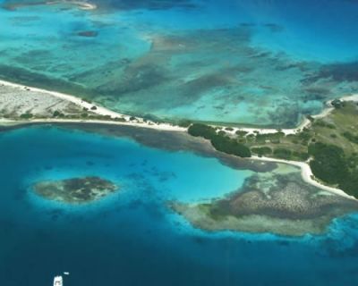 JÁ MERGULHOU COM ECOBUZOS?