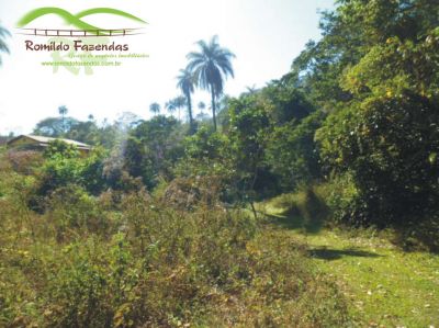 chácara plana de 6.000 mt com água corrente em Ibirité