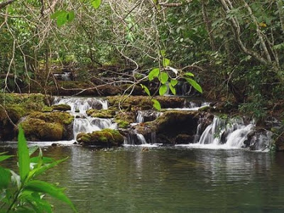 Fazenda para Compensação e Turismo em Ibiúna – SP