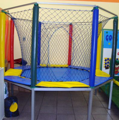 Rosa de saron Festas e decorações