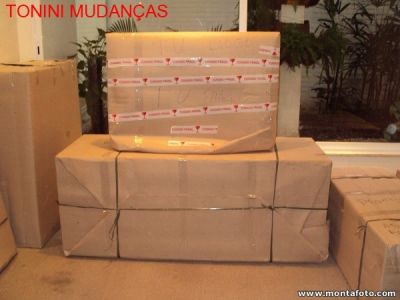 TRANSPORTADORA TONINI MUDANCAS E GUARDA-MÓVEIS