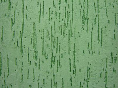 ASD  GESSO  E  GRAFIATO