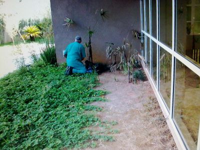 pasagismo e jardinagem -11-2303-3441 ,7303-3441