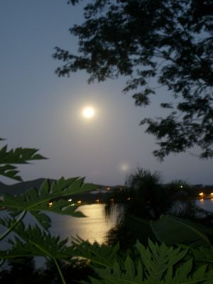 Florianópolis/SC, Lagoa, Chácara com 7.938,20m² com chalé